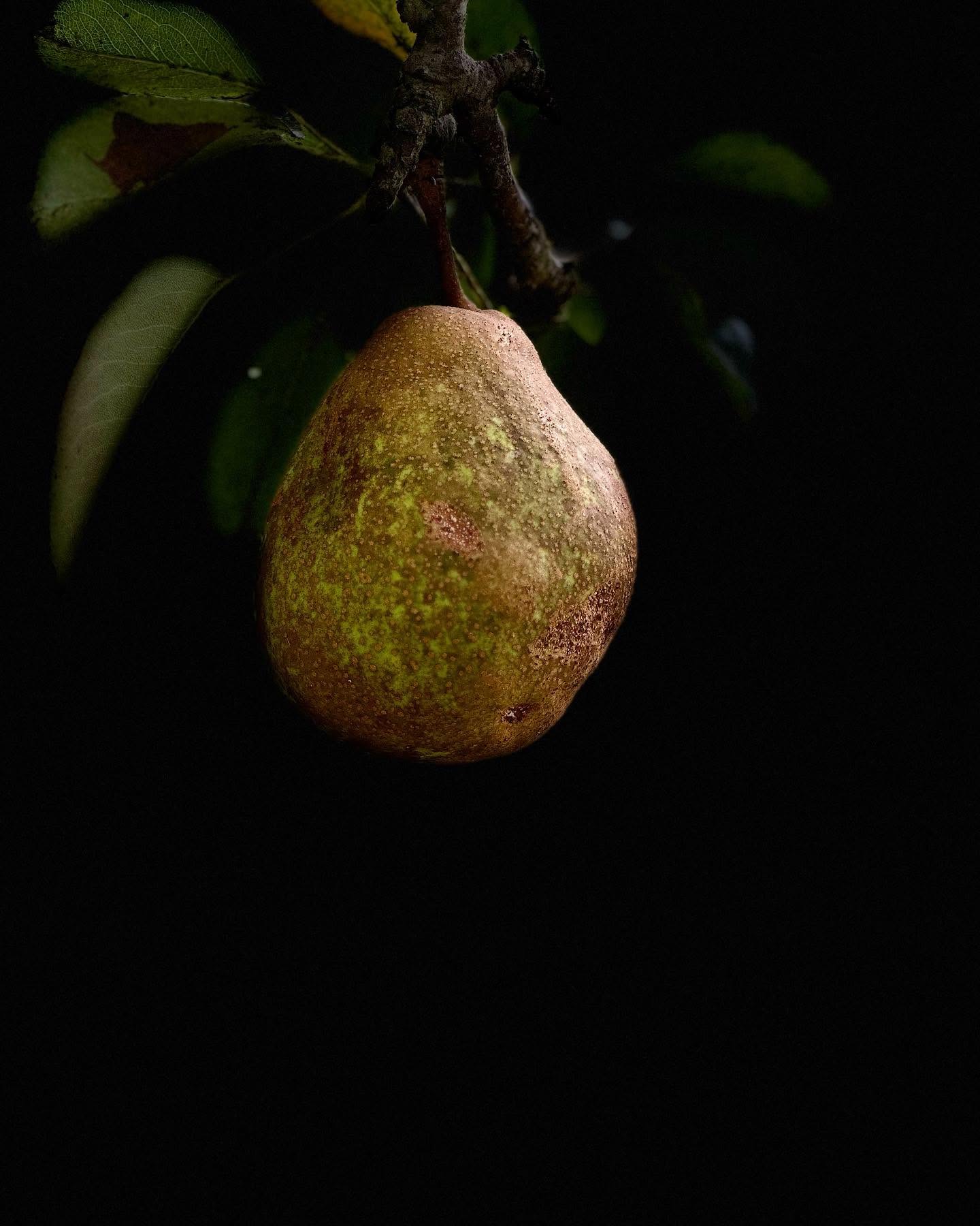 Pear